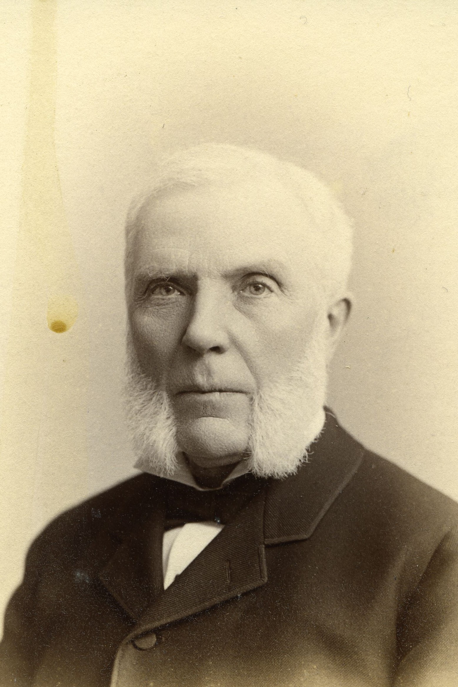 Member portrait of Salem H. Wales